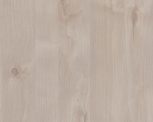 Angora Oak